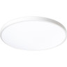 Светильник светодиодный декоративный JAZZWAY 5060869 PPB OPAL 48Вт 4000К WH d370X55 IP40 настенно-потолочный бытовой