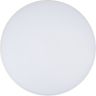 Светильник светодиодный декоративный JAZZWAY 5060920 PPB OPAL 48Вт 6500К WH d370X55 IP20 настенно-потолочный бытовой