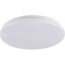 Светильник светодиодный настенно-потолочный JAZZWAY PPB STARWAY-2 32W 4000K IP20 5025493